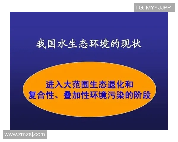丹麦足球的崛起与发展历程探讨及其在国际舞台上的影响力分析