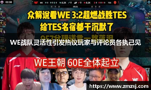 WE战队灵活性引发热议玩家与评论员各执己见
