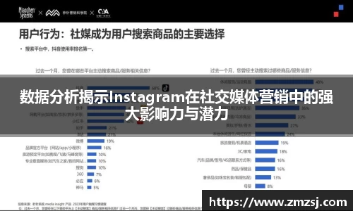 数据分析揭示Instagram在社交媒体营销中的强大影响力与潜力