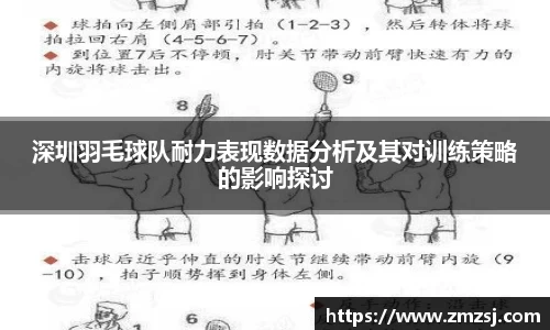 深圳羽毛球队耐力表现数据分析及其对训练策略的影响探讨